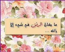 الرفق خلق الإسلام