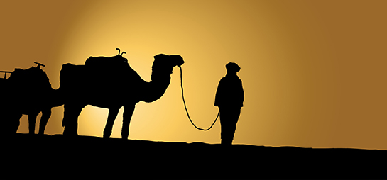 تصرفات الأعراب ومعالجة السنة النبوية لها